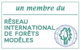International Model Forest Network