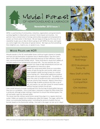 newsletter