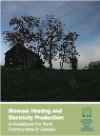 Production d'électricité et de chaleur à partir de la biomasse : Un guide pour les communautés rurales au canada