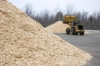 Bioenergy